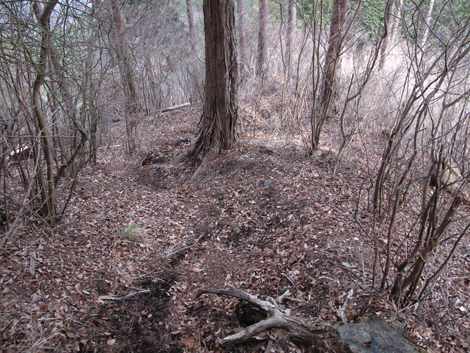 20160121hike (290)